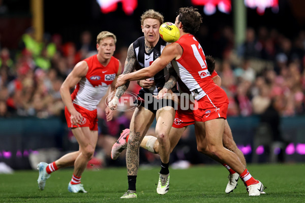 AFL 2024 Round 22 - Sydney v Collingwood - A-52631043