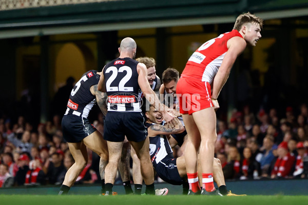 AFL 2024 Round 22 - Sydney v Collingwood - A-52631525