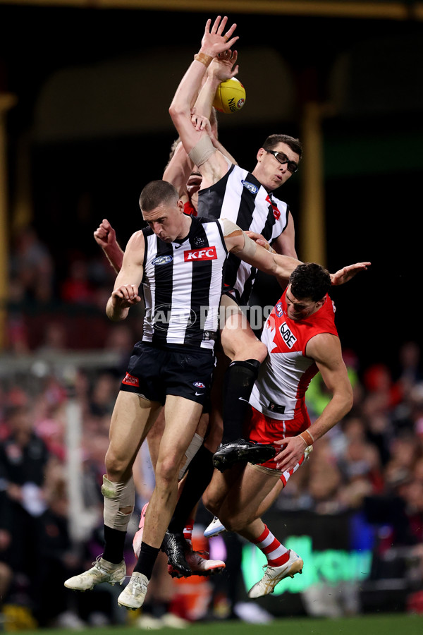 AFL 2024 Round 22 - Sydney v Collingwood - A-52631533