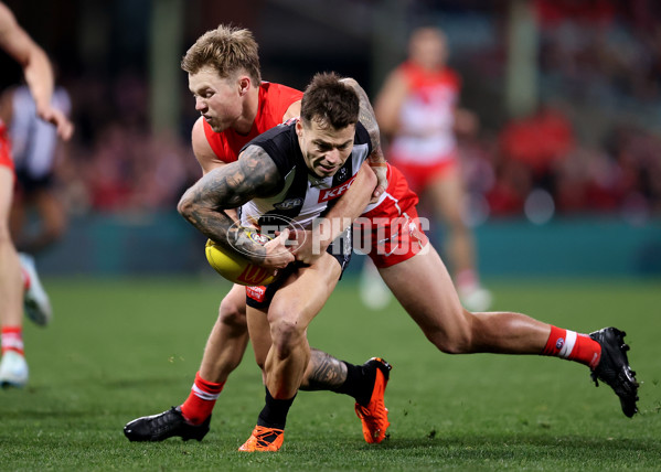 AFL 2024 Round 22 - Sydney v Collingwood - A-52631571