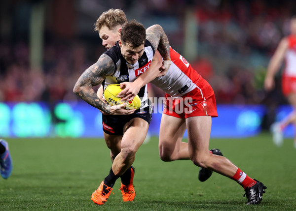 AFL 2024 Round 22 - Sydney v Collingwood - A-52631573