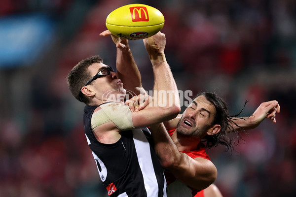 AFL 2024 Round 22 - Sydney v Collingwood - A-52631577