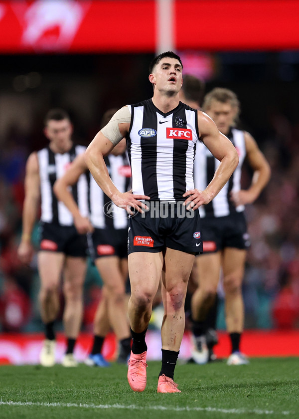 AFL 2024 Round 22 - Sydney v Collingwood - A-52631592