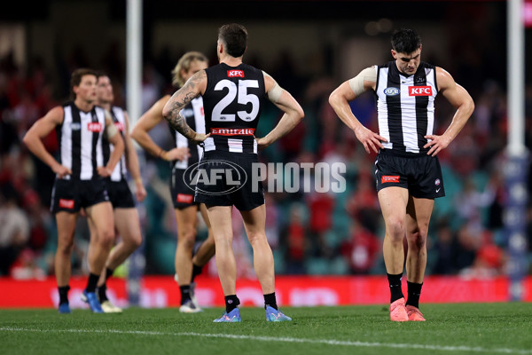 AFL 2024 Round 22 - Sydney v Collingwood - A-52631596