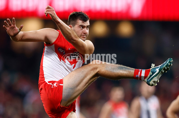 AFL 2024 Round 22 - Sydney v Collingwood - A-52634010