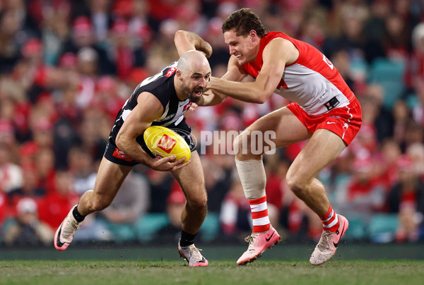 AFL 2024 Round 22 - Sydney v Collingwood - A-52634015