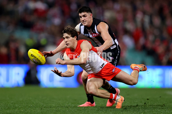 AFL 2024 Round 22 - Sydney v Collingwood - A-52634127