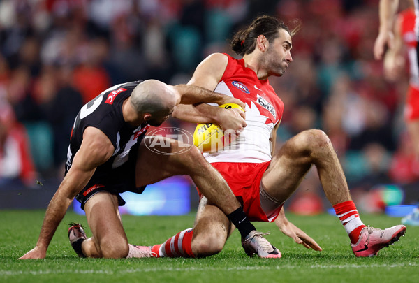 AFL 2024 Round 22 - Sydney v Collingwood - A-52636356