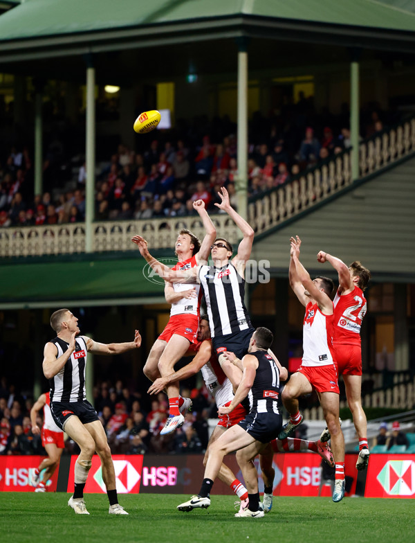AFL 2024 Round 22 - Sydney v Collingwood - A-52636358