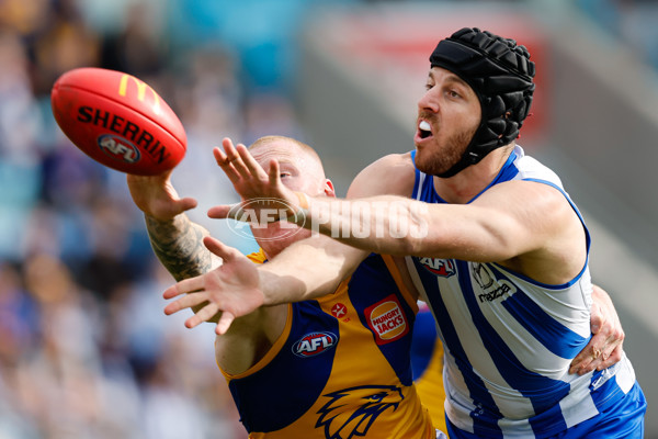 AFL 2024 Round 22 - North Melbourne v West Coast - A-52639330
