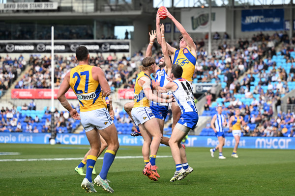 AFL 2024 Round 22 - North Melbourne v West Coast - A-52641137