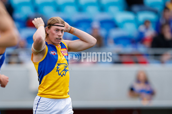 AFL 2024 Round 22 - North Melbourne v West Coast - A-52641188