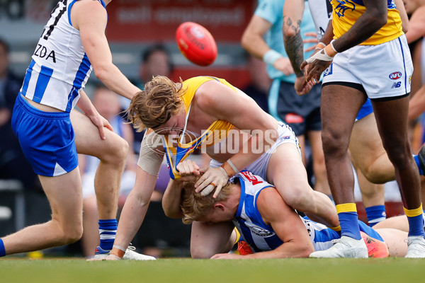 AFL 2024 Round 22 - North Melbourne v West Coast - A-52642169