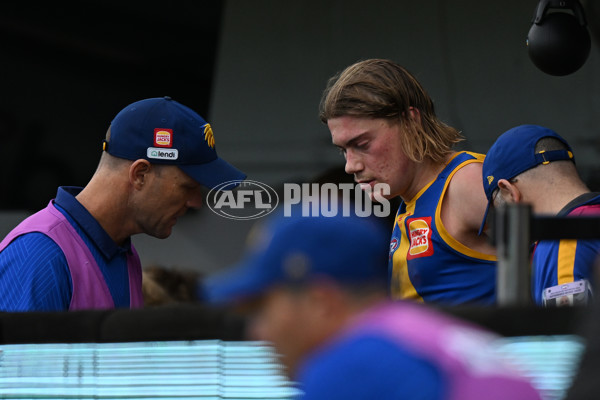 AFL 2024 Round 22 - North Melbourne v West Coast - A-52646444
