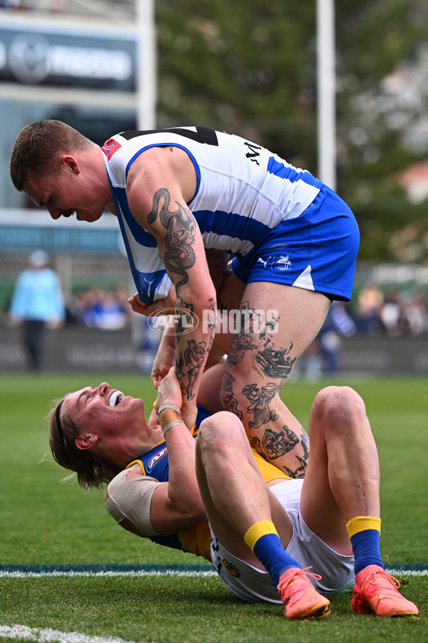 AFL 2024 Round 22 - North Melbourne v West Coast - A-52646971