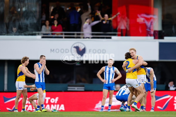 AFL 2024 Round 22 - North Melbourne v West Coast - A-52652861