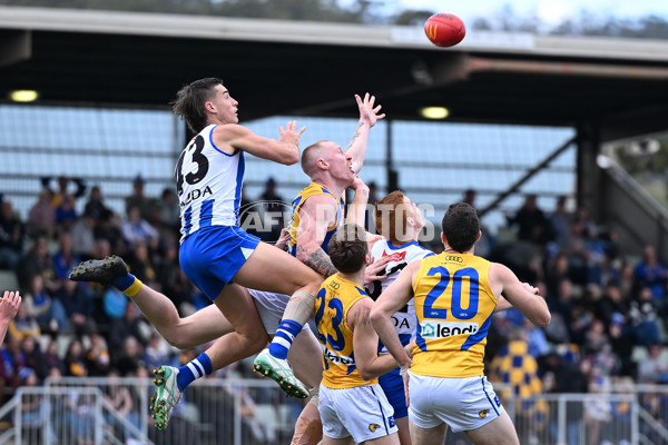 AFL 2024 Round 22 - North Melbourne v West Coast - A-52663781