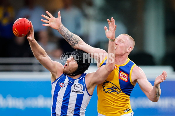 AFL 2024 Round 22 - North Melbourne v West Coast - A-52672997