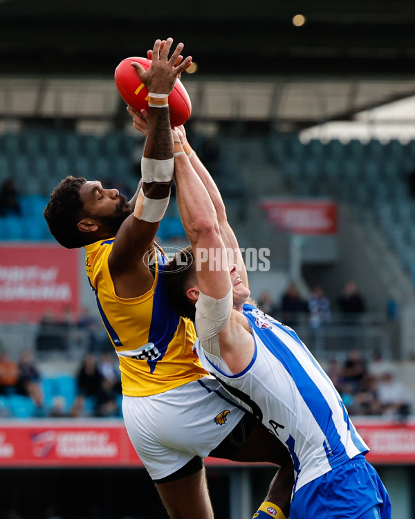 AFL 2024 Round 22 - North Melbourne v West Coast - A-52674747