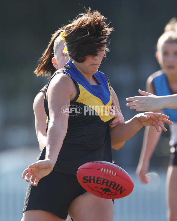 2024 Herald Sun Shield - Division 1 Intermediate Girls Grand Final - A-52796369