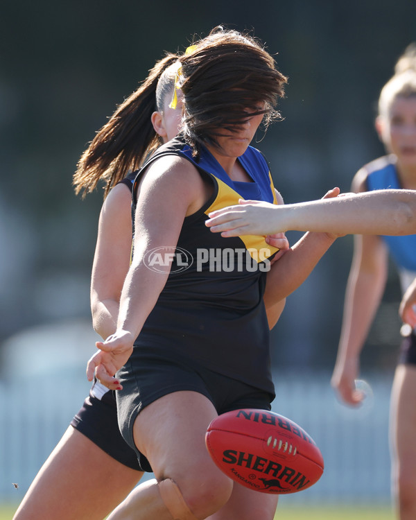 2024 Herald Sun Shield - Division 1 Intermediate Girls Grand Final - A-52796370