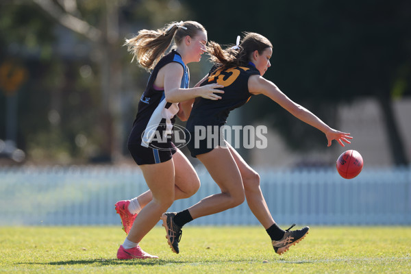 2024 Herald Sun Shield - Division 1 Intermediate Girls Grand Final - A-52796382