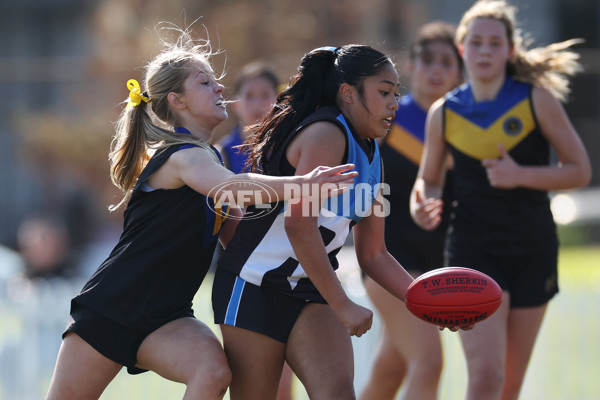 2024 Herald Sun Shield - Division 1 Intermediate Girls Grand Final - A-52797173