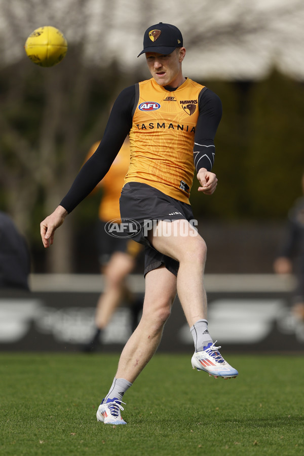 AFL 2024 Training - Hawthorn 140824 - A-52811436