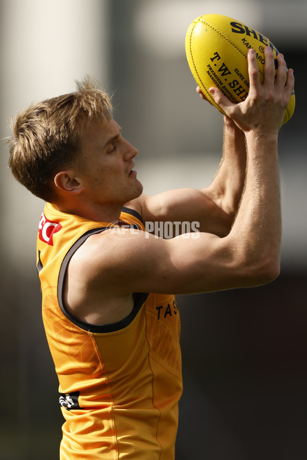 AFL 2024 Training - Hawthorn 140824 - A-52811437