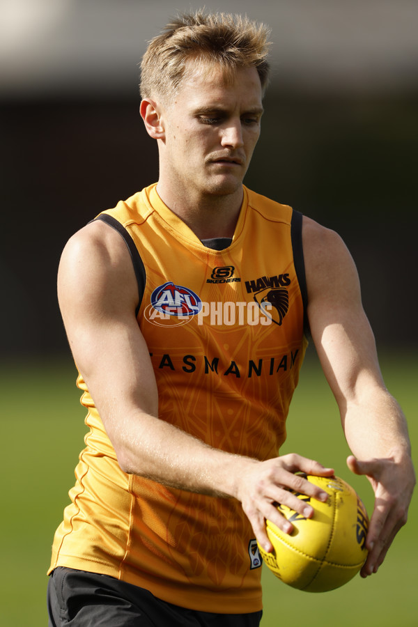 AFL 2024 Training - Hawthorn 140824 - A-52811438