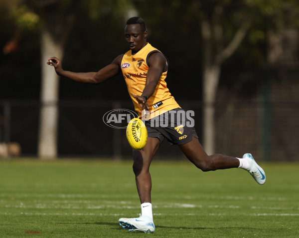 AFL 2024 Training - Hawthorn 140824 - A-52811443