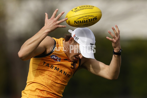 AFL 2024 Training - Hawthorn 140824 - A-52811444