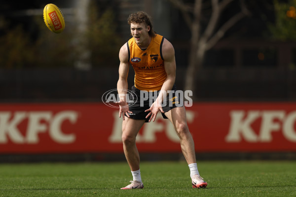 AFL 2024 Training - Hawthorn 140824 - A-52811448