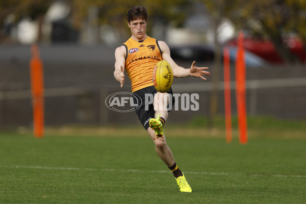 AFL 2024 Training - Hawthorn 140824 - A-52811457