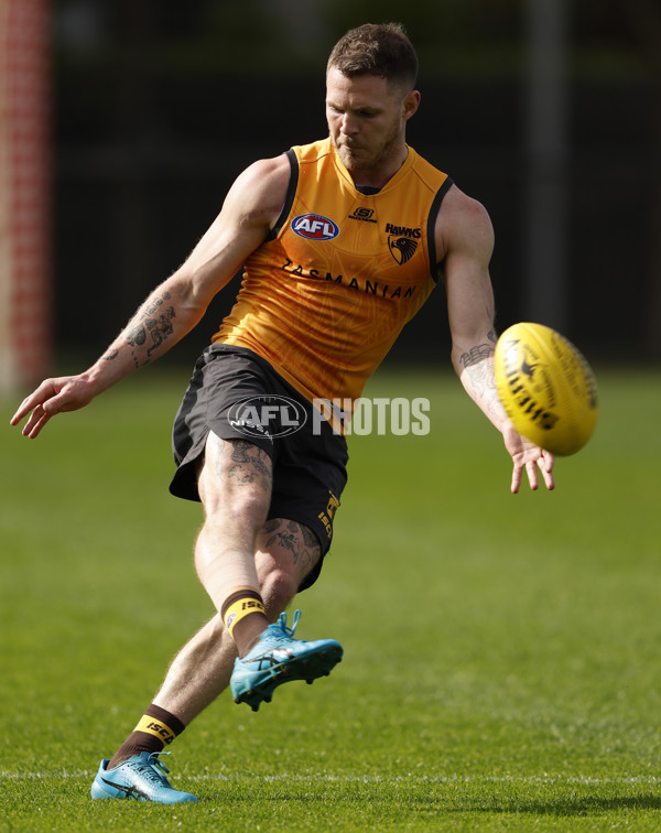 AFL 2024 Training - Hawthorn 140824 - A-52811547