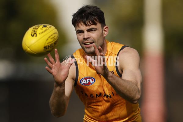 AFL 2024 Training - Hawthorn 140824 - A-52811550