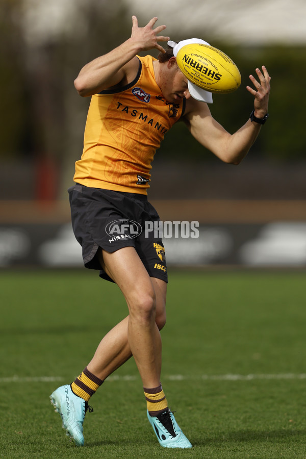 AFL 2024 Training - Hawthorn 140824 - A-52811551