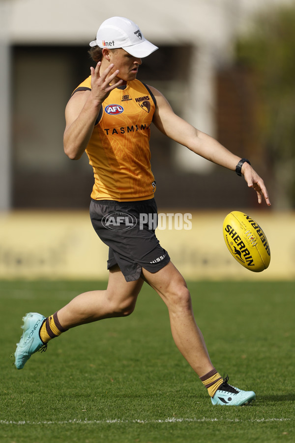 AFL 2024 Training - Hawthorn 140824 - A-52811552