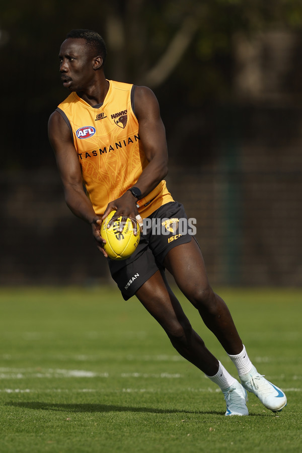 AFL 2024 Training - Hawthorn 140824 - A-52811553