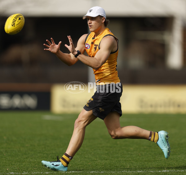 AFL 2024 Training - Hawthorn 140824 - A-52811554