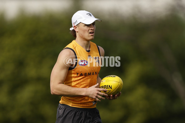 AFL 2024 Training - Hawthorn 140824 - A-52811560