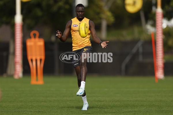 AFL 2024 Training - Hawthorn 140824 - A-52811562