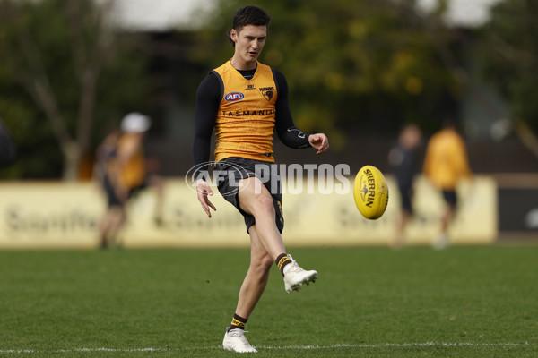 AFL 2024 Training - Hawthorn 140824 - A-52811572