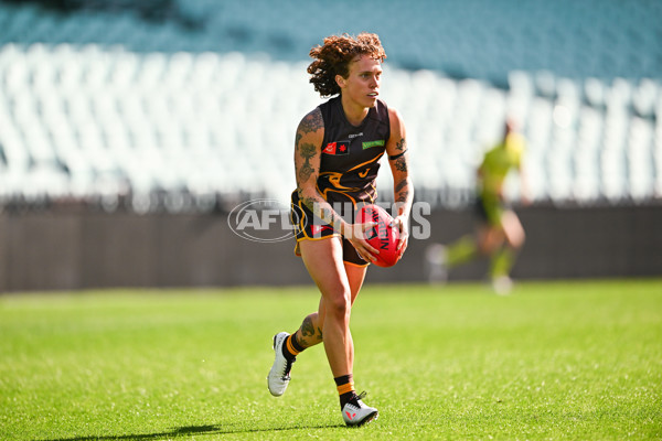 AFLW 2024 Practice Match - Sydney v Hawthorn - A-53070095