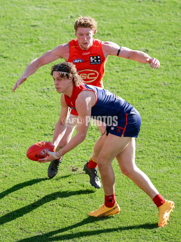 AFL 2024 Round 23 - Gold Coast v Melbourne - A-53078642