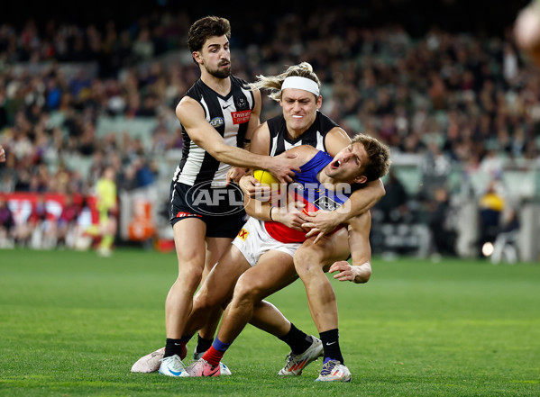 AFL 2024 Round 23 - Collingwood v Brisbane - A-53085960
