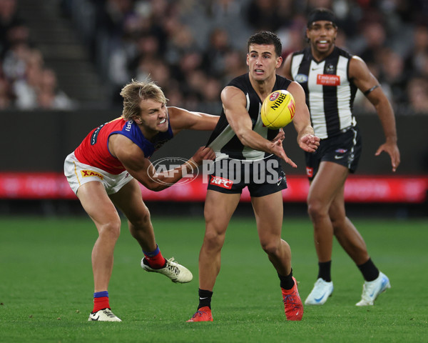 AFL 2024 Round 23 - Collingwood v Brisbane - A-53086190