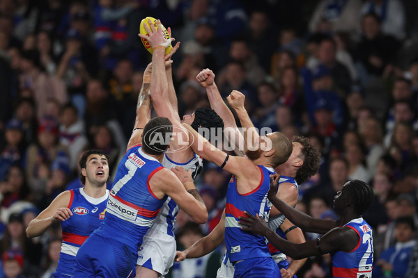AFL 2024 Round 23 - Western Bulldogs v North Melbourne - A-53117466