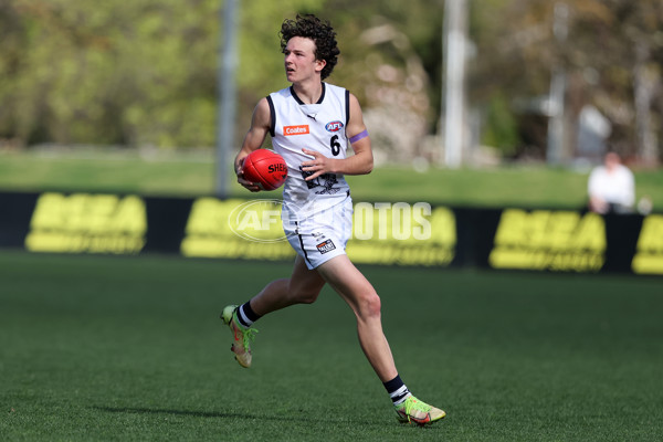 Coates League Boys 2024 Round 18 - Sandringham v Geelong - A-53118993