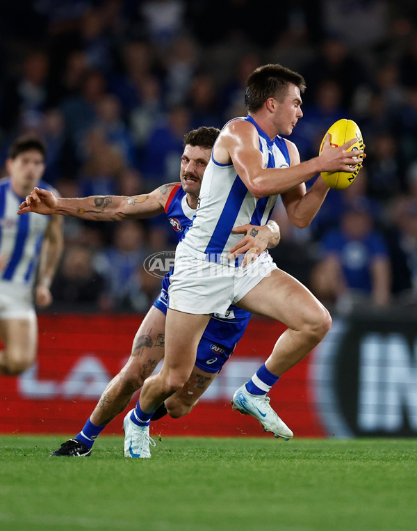 AFL 2024 Round 23 - Western Bulldogs v North Melbourne - A-53119894